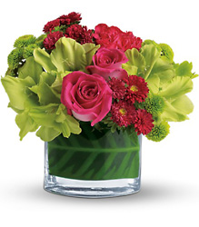 Beauty Secret from Metropolitan Plant & Flower Exchange, local NJ florist